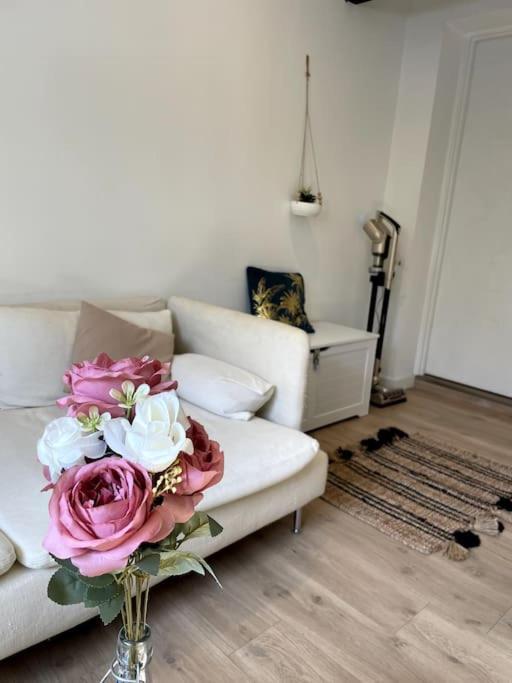 Villa Gaby~ 2 Pers ~ Hypercentre Pau Exterior photo